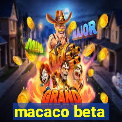 macaco beta