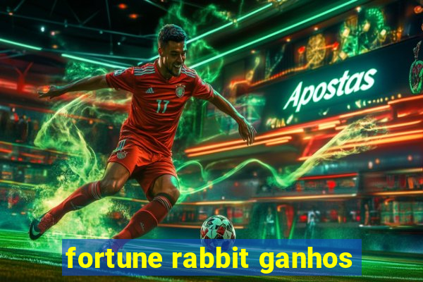 fortune rabbit ganhos