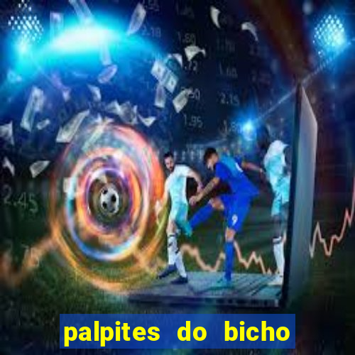 palpites do bicho no celular