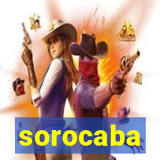 sorocaba popula莽茫o 2024