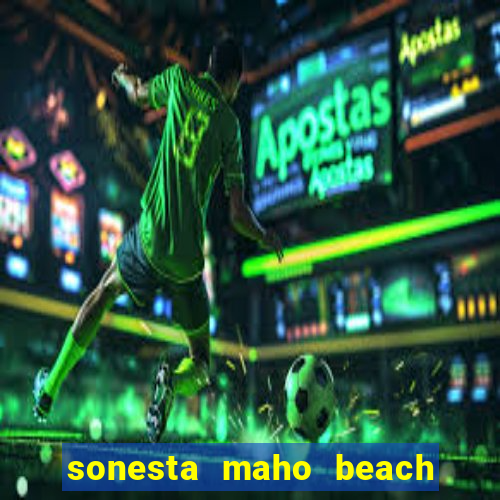 sonesta maho beach resort casino spa