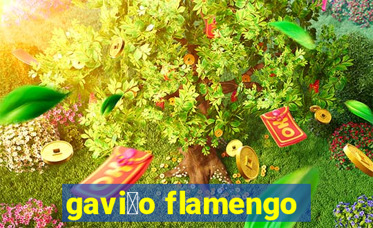 gavi茫o flamengo