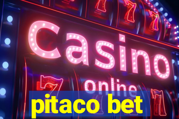 pitaco bet