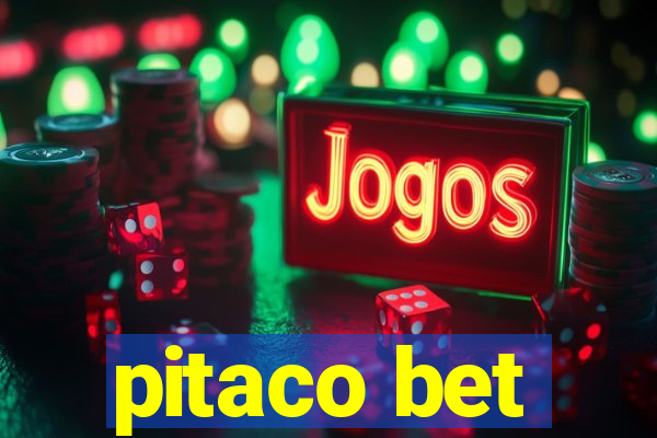 pitaco bet