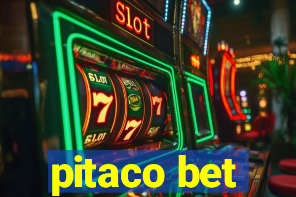 pitaco bet