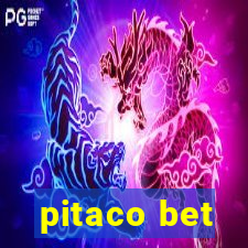 pitaco bet