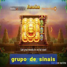 grupo de sinais fortune tiger