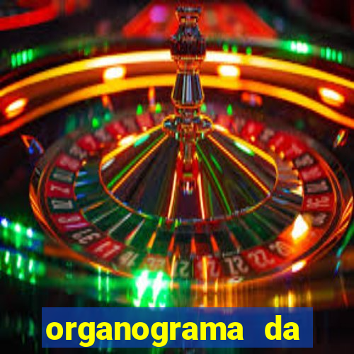 organograma da cacau show