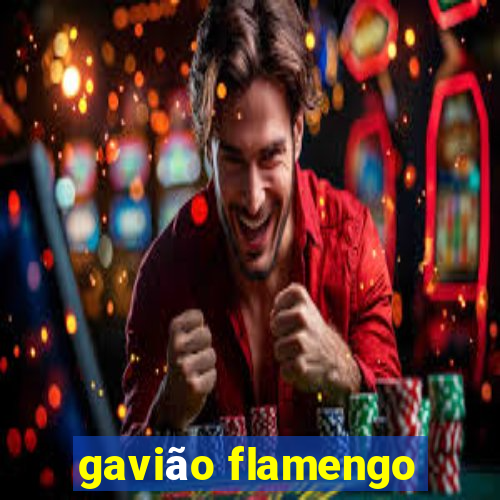 gavião flamengo