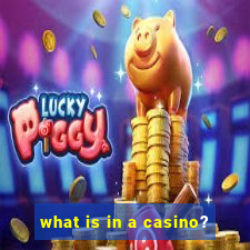 what is in a casino?