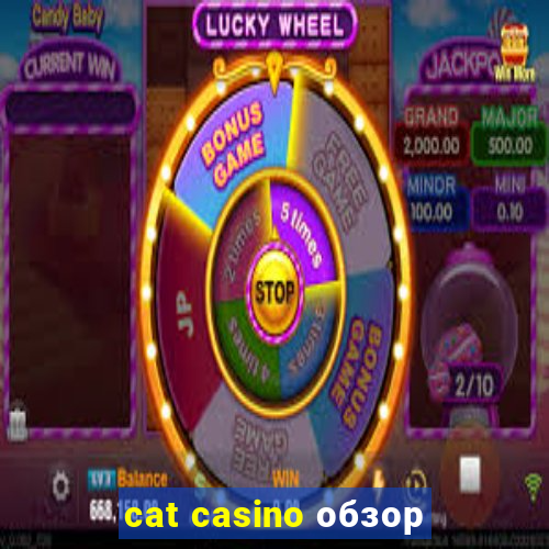 cat casino обзор