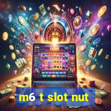 m6 t slot nut