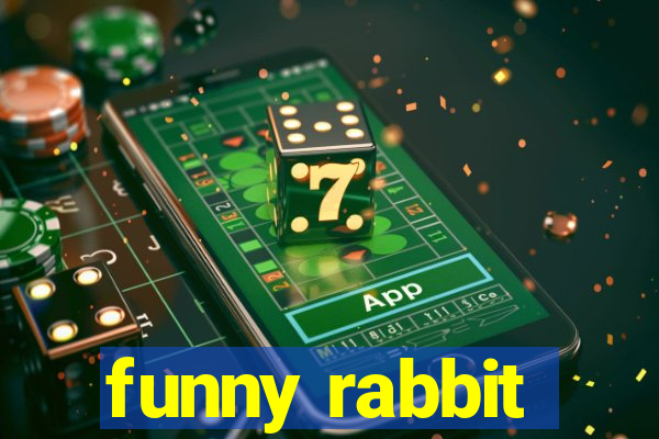 funny rabbit