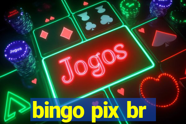 bingo pix br