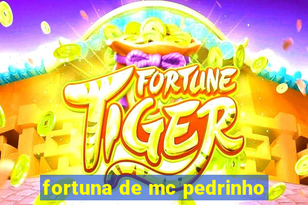 fortuna de mc pedrinho