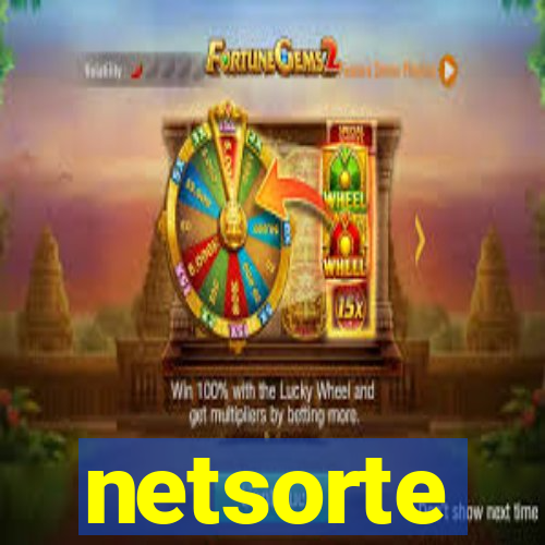 netsorte