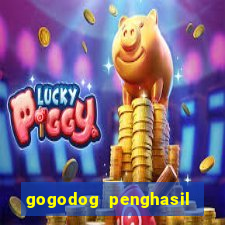 gogodog penghasil saldo dana