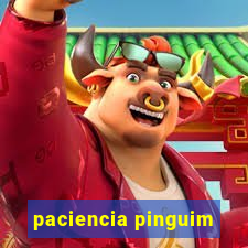 paciencia pinguim