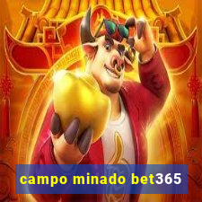 campo minado bet365