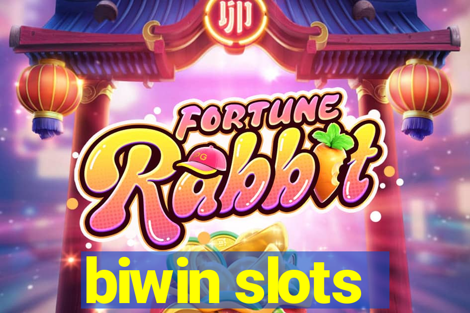 biwin slots