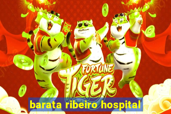 barata ribeiro hospital