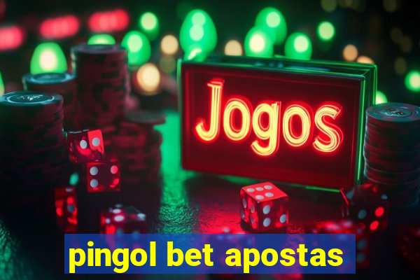 pingol bet apostas