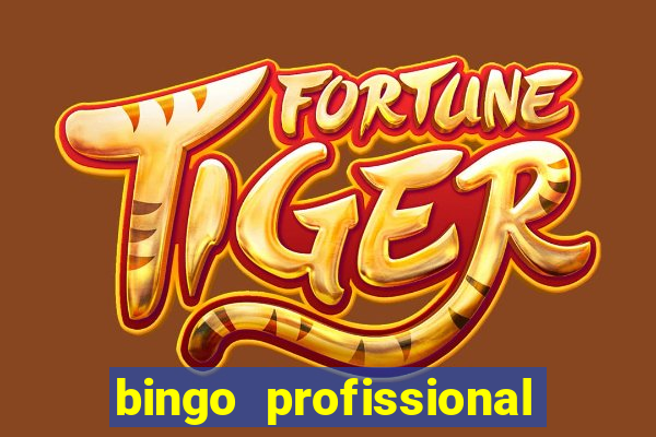 bingo profissional n 3