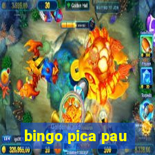 bingo pica pau