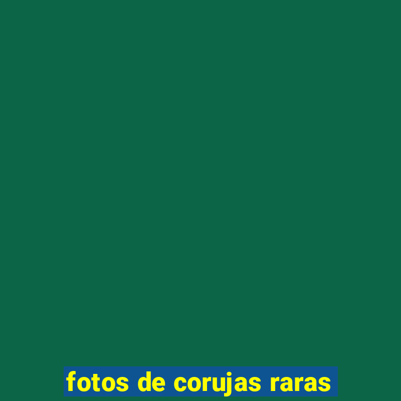 fotos de corujas raras