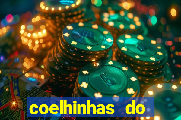 coelhinhas do brasil acompanhantes