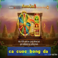 ca cuoc bong da truc tuyen