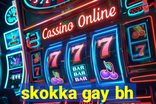 skokka gay bh