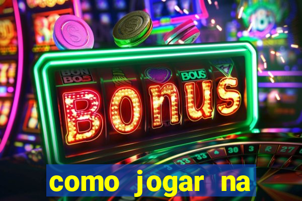 como jogar na lotinha do jogo do bicho