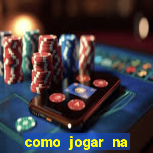 como jogar na lotinha do jogo do bicho