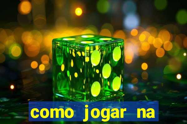 como jogar na lotinha do jogo do bicho