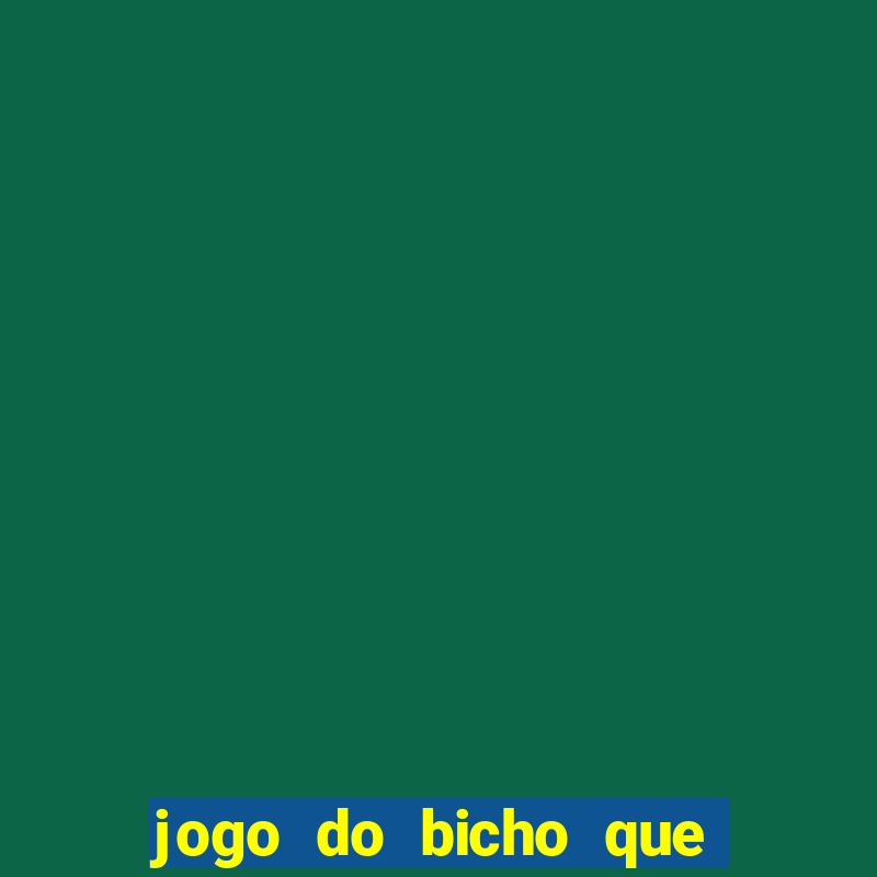 jogo do bicho que da dinheiro