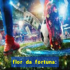 flor da fortuna: como cuidar