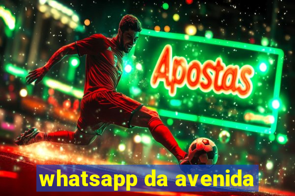 whatsapp da avenida