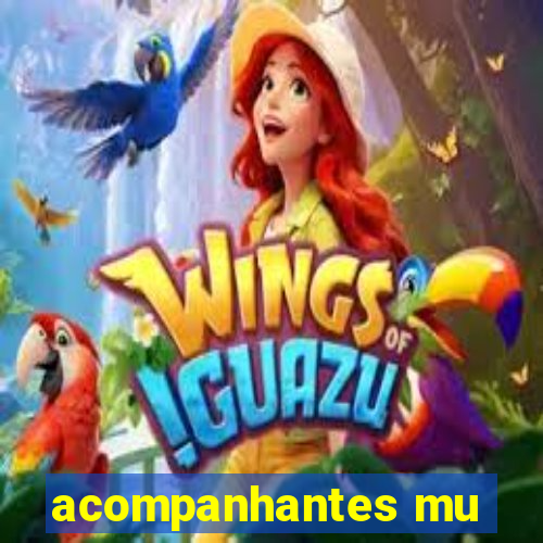 acompanhantes mu