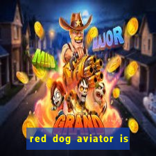 red dog aviator is real or fake