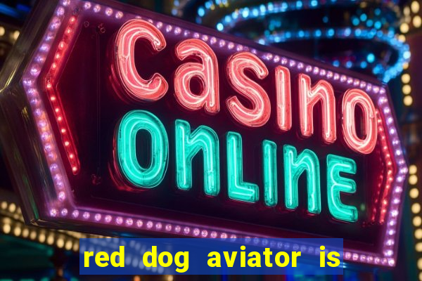 red dog aviator is real or fake