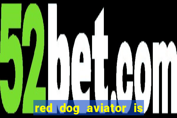 red dog aviator is real or fake