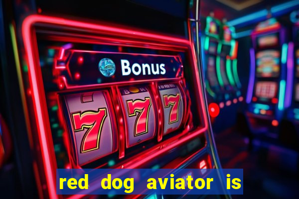 red dog aviator is real or fake