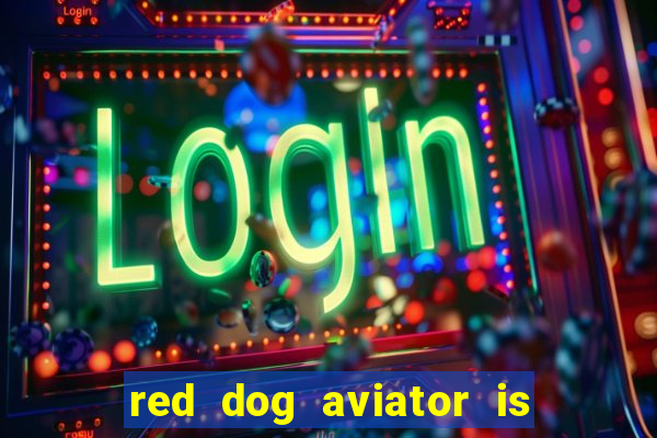 red dog aviator is real or fake