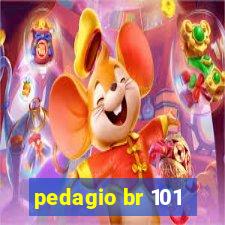 pedagio br 101