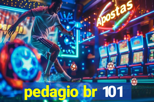 pedagio br 101