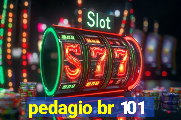 pedagio br 101