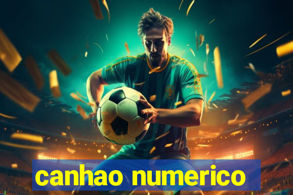 canhao numerico