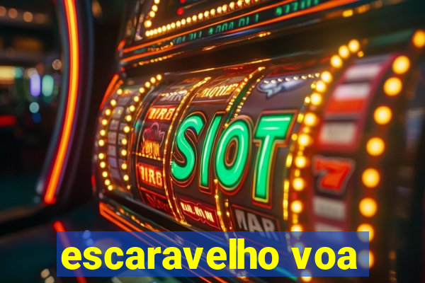 escaravelho voa