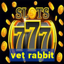 vet rabbit